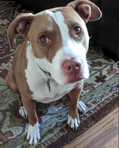 Marlowe Wheaton is adorable.