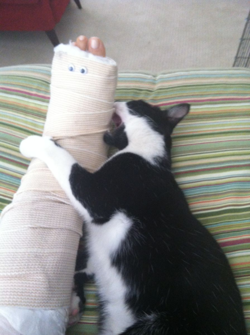 Watson attacking a cast.