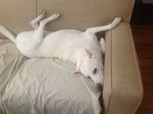 No, really, I'm comfortable like this.